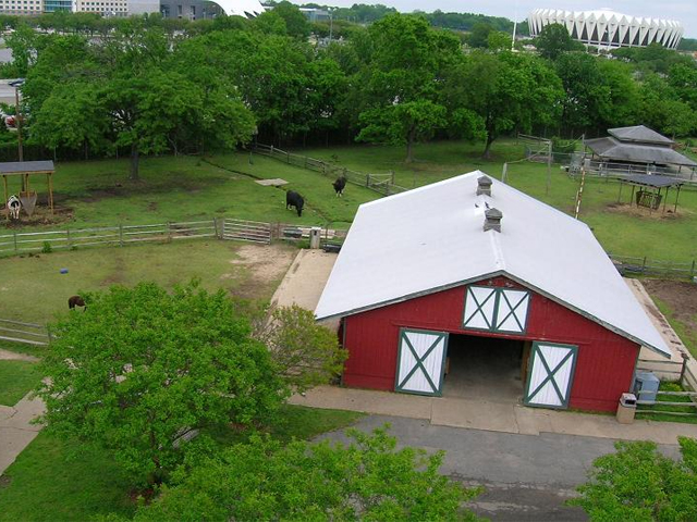 Bluebird Gap Farm